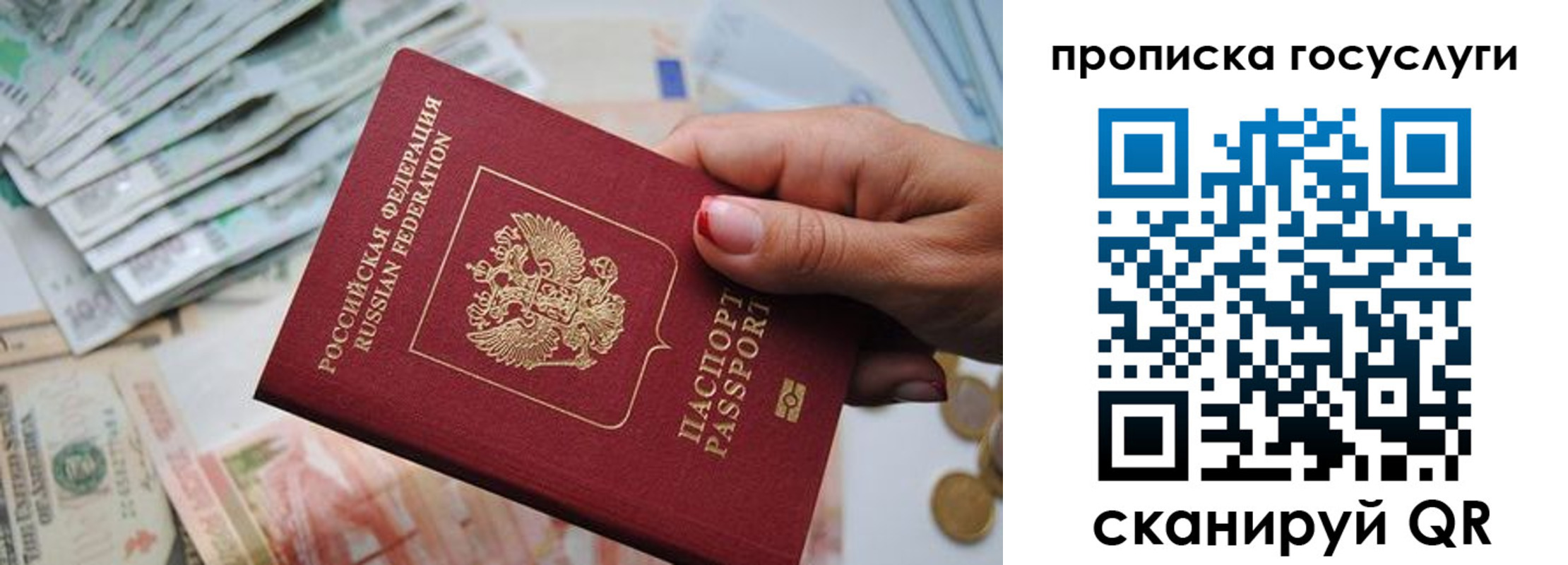 прописка поиск в Зеленоградске